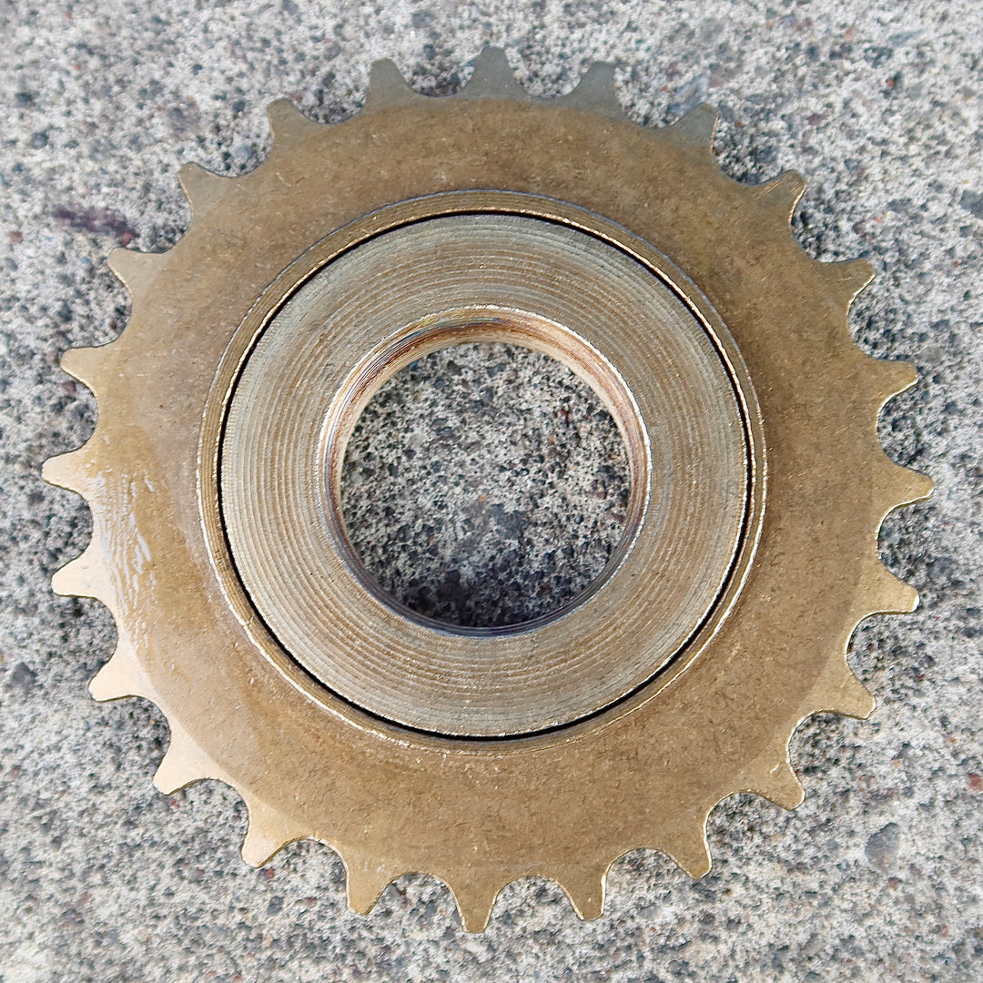 24T Brown Freewheel
