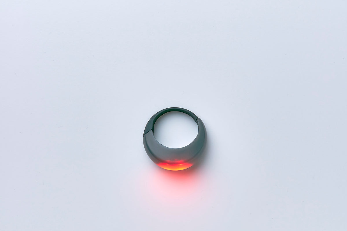 Muni Karabiner Light